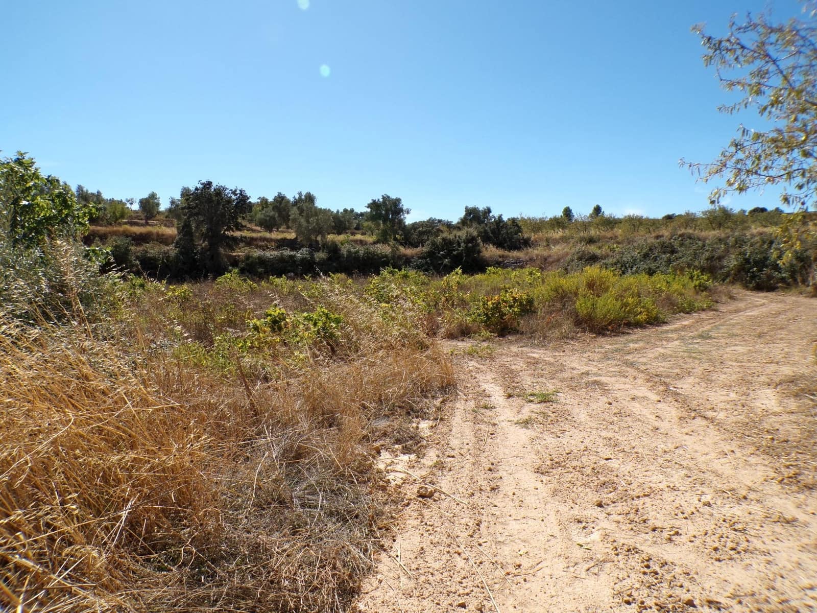 1 soverom Finca/Herregård til salgs i Calaceite - € 19 000 (Ref: 9450439)