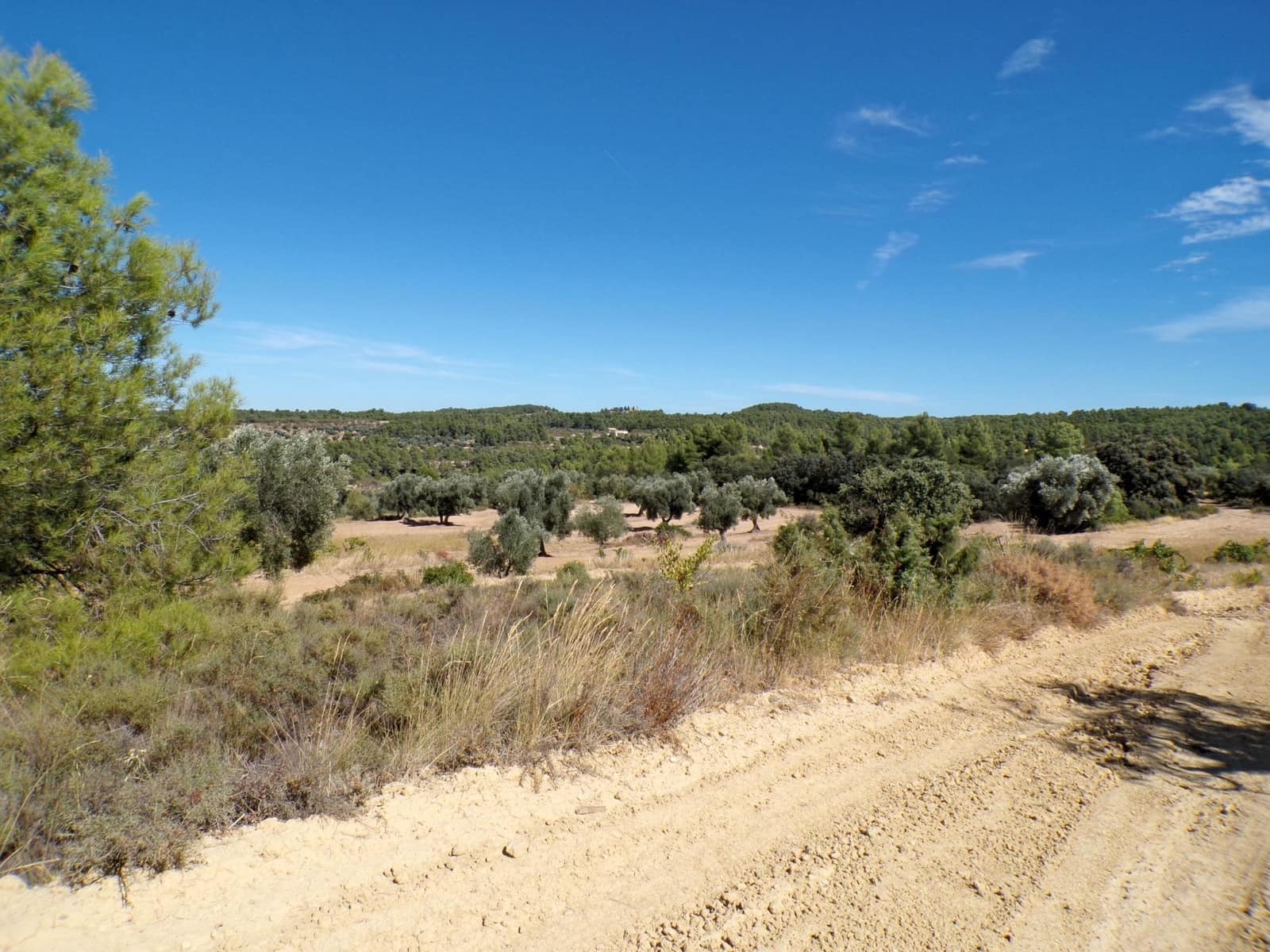 1 soverom Finca/Herregård til salgs i Calaceite - € 19 000 (Ref: 9450439)