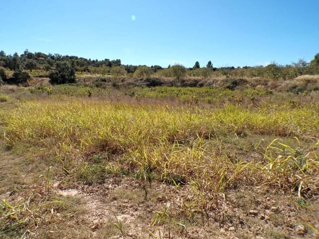 1 sovrum Finca/Hus på landet till salu i Calaceite - 19 000 € (Ref: 9450439)