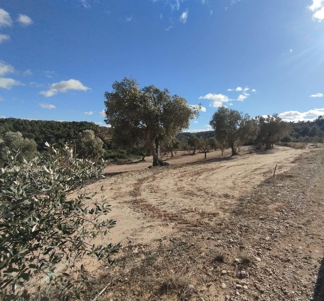 Finca/Casa Rural de 3 habitaciones en Alcañiz en venta - 220.000 € (Ref: 9450440)