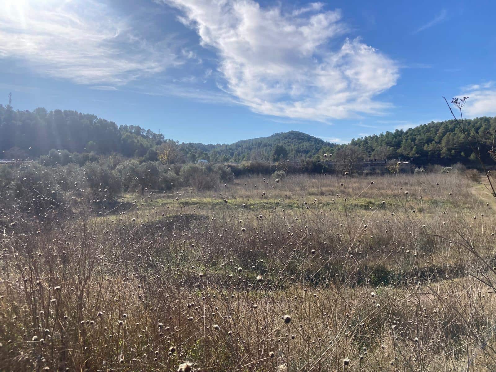 1 soveværelse Finca/Landehus til salg i Caseres - € 7.500 (Ref: 9452290)