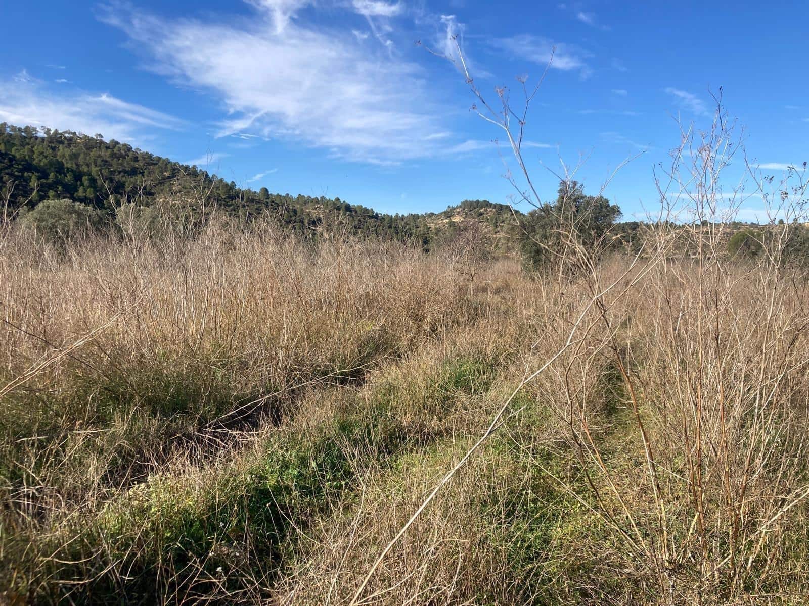 1 soveværelse Finca/Landehus til salg i Caseres - € 7.500 (Ref: 9452290)