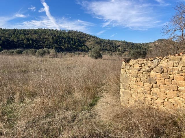 1 makuuhuone Maalaistalo myytävänä paikassa Caseres - 7 500 € (Ref: 9452290)