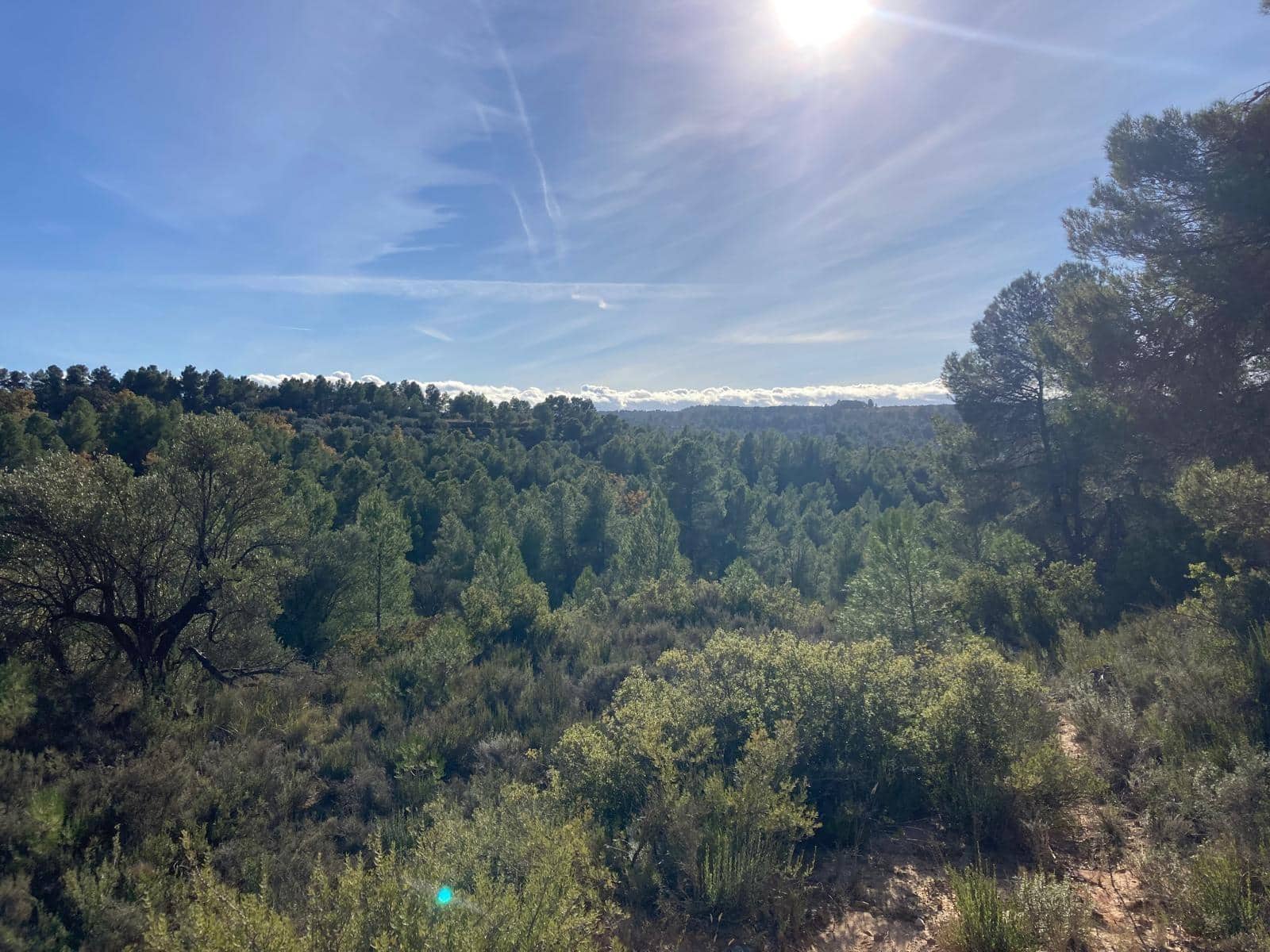 Finca/Casa di Campagna in vendita in Calaceite - 5.200 € (Rif: 9456486)