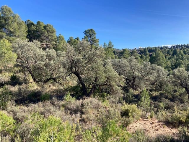 Finca/Casa di Campagna in vendita in Calaceite - 5.200 € (Rif: 9456486)