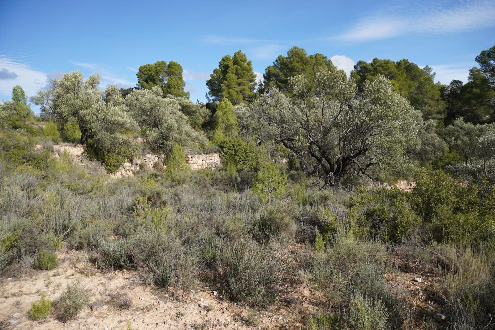 Finca/Casa di Campagna in vendita in Calaceite - 5.200 € (Rif: 9456486)