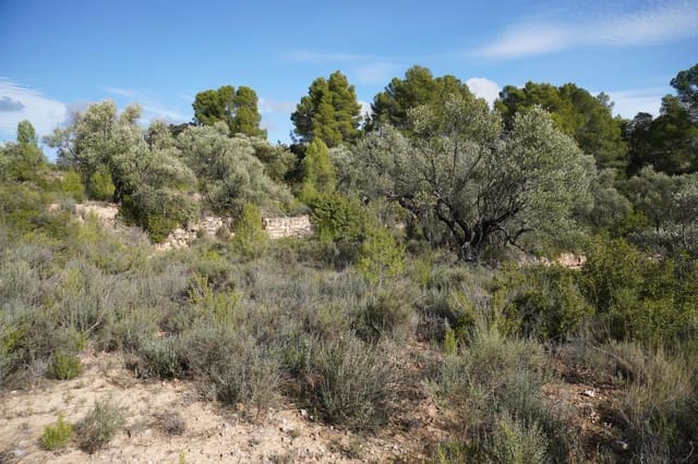 Finca/Casa di Campagna in vendita in Calaceite - 5.200 € (Rif: 9456486)