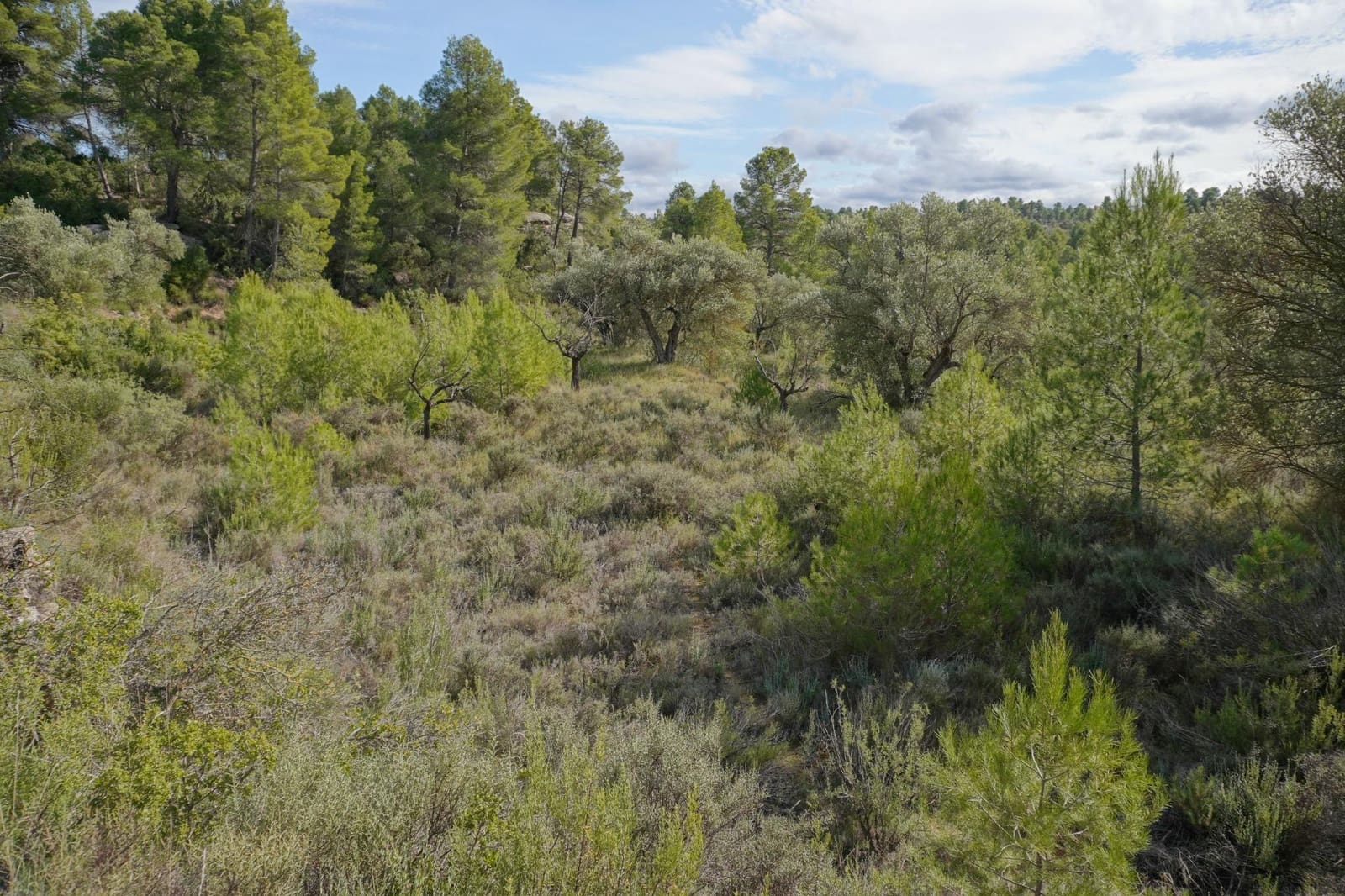 Finca/Casa di Campagna in vendita in Calaceite - 5.200 € (Rif: 9456486)