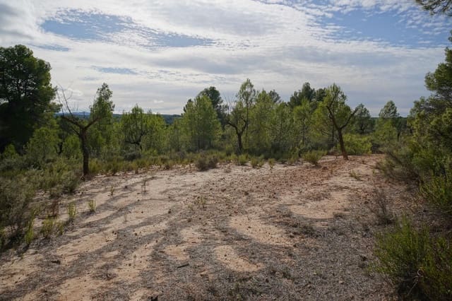 Finca/Casa di Campagna in vendita in Calaceite - 5.200 € (Rif: 9456486)