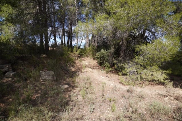 Finca/Casa di Campagna in vendita in Calaceite - 5.200 € (Rif: 9456486)