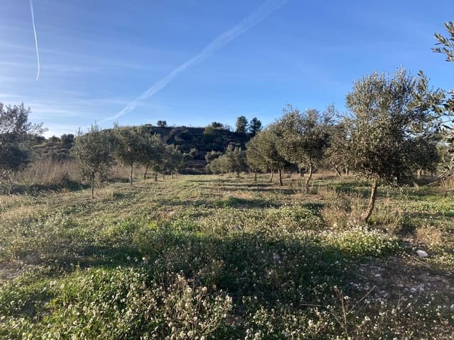 1 bedroom Finca/Country House for sale in Calaceite - € 6,000 (Ref: 9462508)