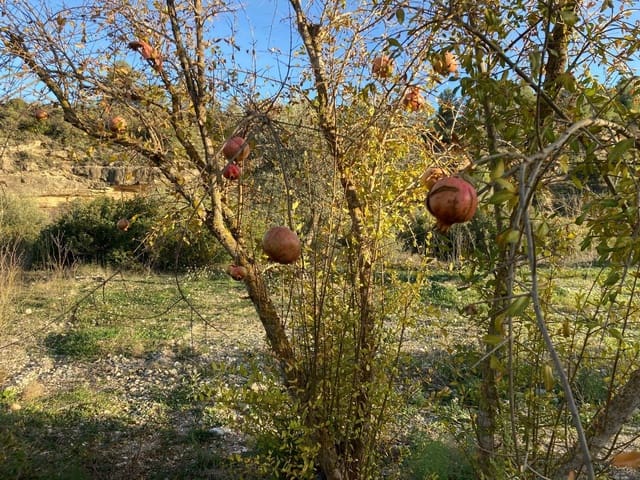 1 bedroom Finca/Country House for sale in Calaceite - € 6,000 (Ref: 9462508)