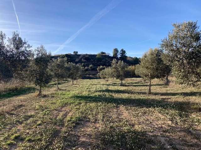 1 bedroom Finca/Country House for sale in Calaceite - € 6,000 (Ref: 9462508)