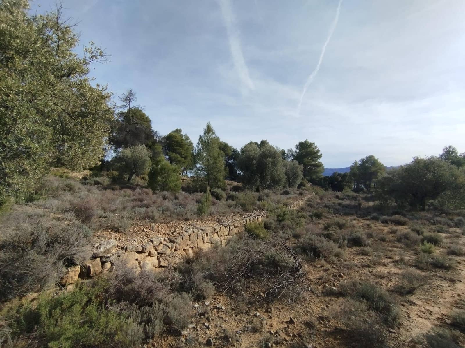 2 bedroom Finca/Country House for sale in Valderrobres - € 110,000 (Ref: 9509158)