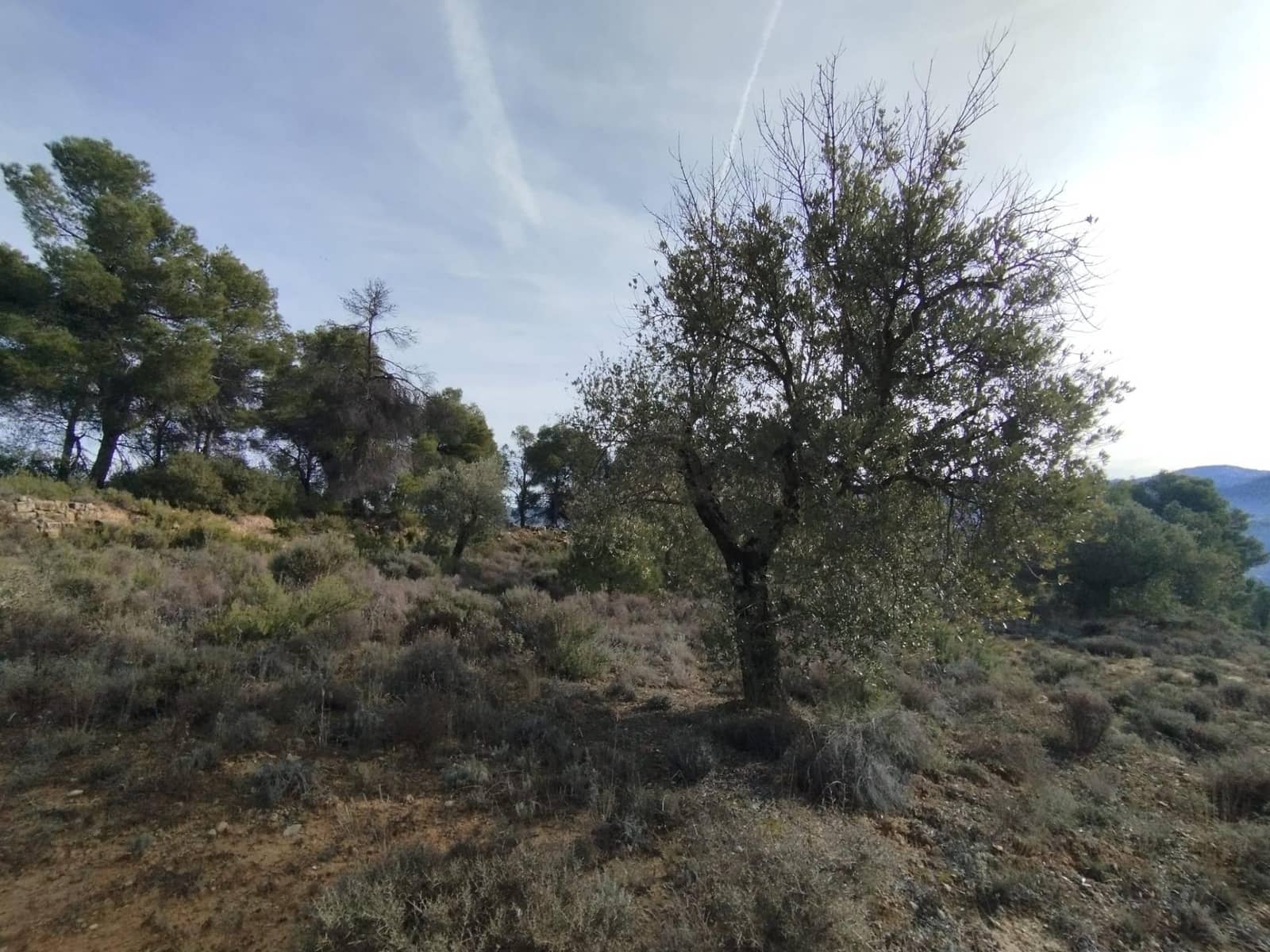 2 bedroom Finca/Country House for sale in Valderrobres - € 110,000 (Ref: 9509158)