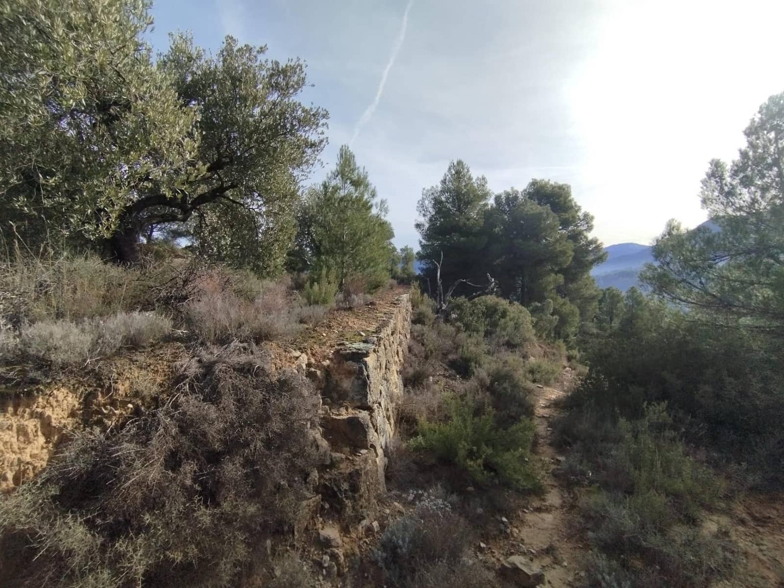 2 bedroom Finca/Country House for sale in Valderrobres - € 110,000 (Ref: 9509158)