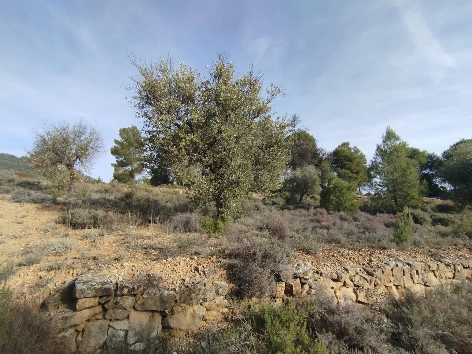 2 bedroom Finca/Country House for sale in Valderrobres - € 110,000 (Ref: 9509158)