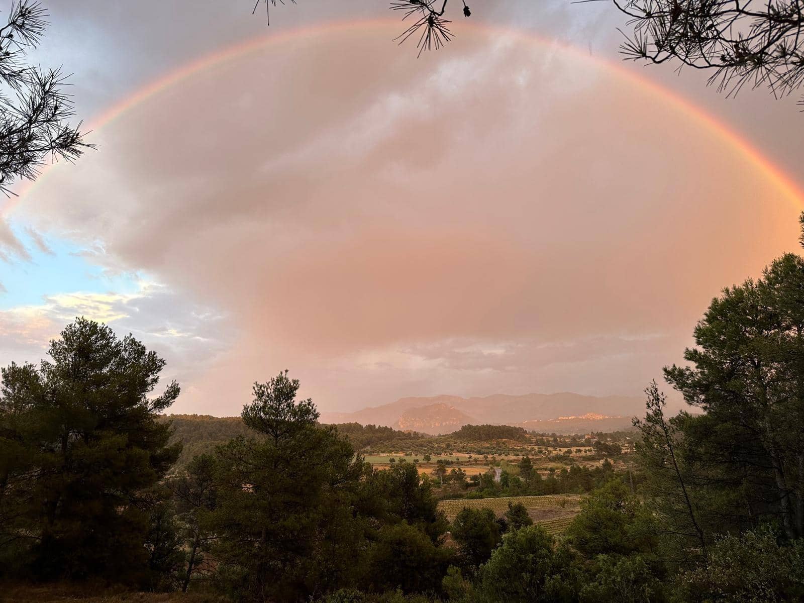 1 bedroom Finca/Country House for sale in Arens de Lledo - € 75,000 (Ref: 9524489)