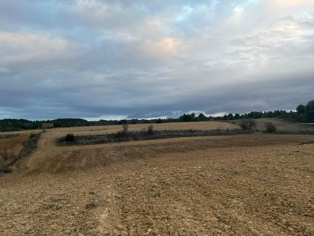 1 soverom Finca/Herregård til salgs i Valderrobres - € 20 000 (Ref: 9527851)