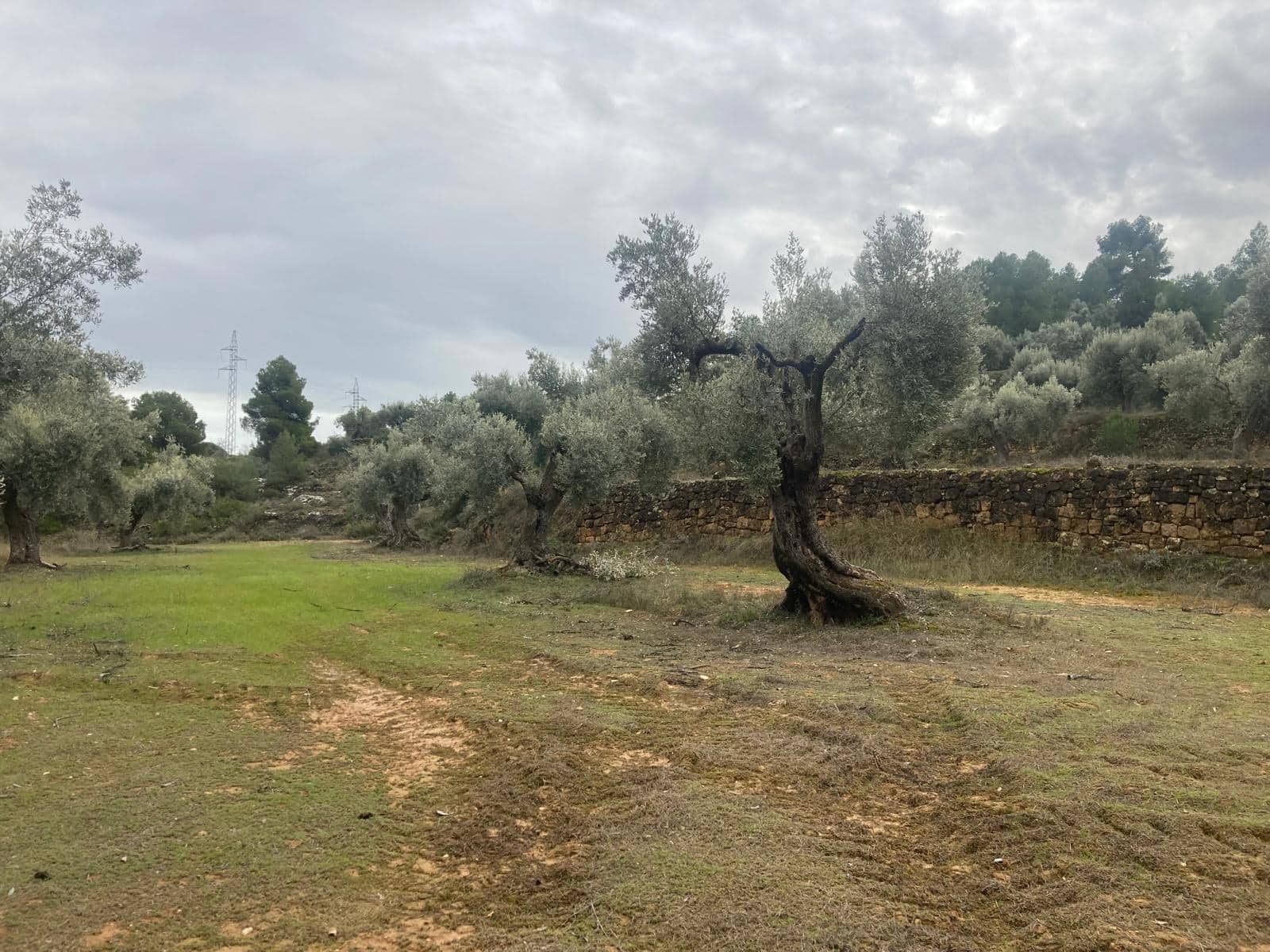 Finka/Dom wiejski na sprzedaż w Valderrobres - 15 000 € (Ref: 9565409)