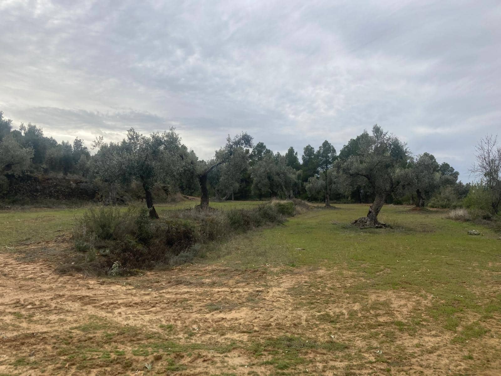 Finka/Dom wiejski na sprzedaż w Valderrobres - 15 000 € (Ref: 9565409)