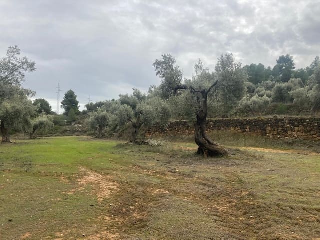 Finca/Landehus til salg i Valderrobres - € 15.000 (Ref: 9565409)