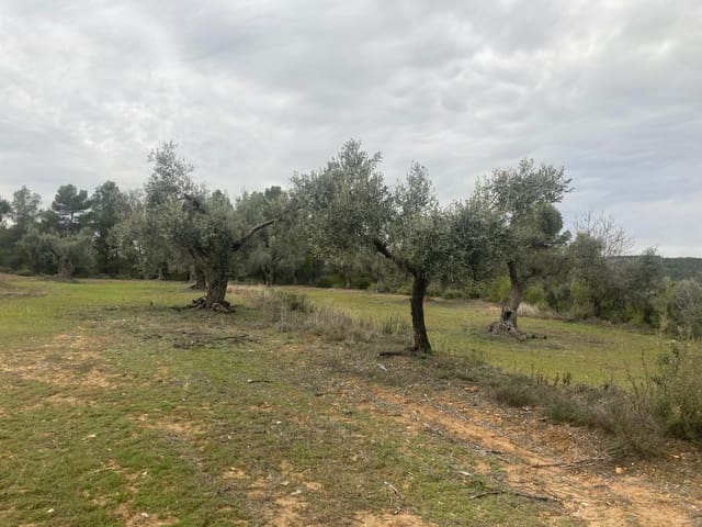 Finca/Landehus til salg i Valderrobres - € 15.000 (Ref: 9565409)