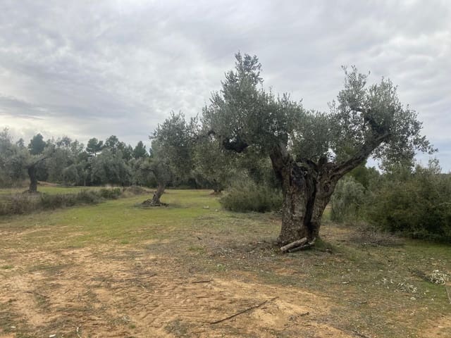 Finca/Landehus til salg i Valderrobres - € 15.000 (Ref: 9565409)