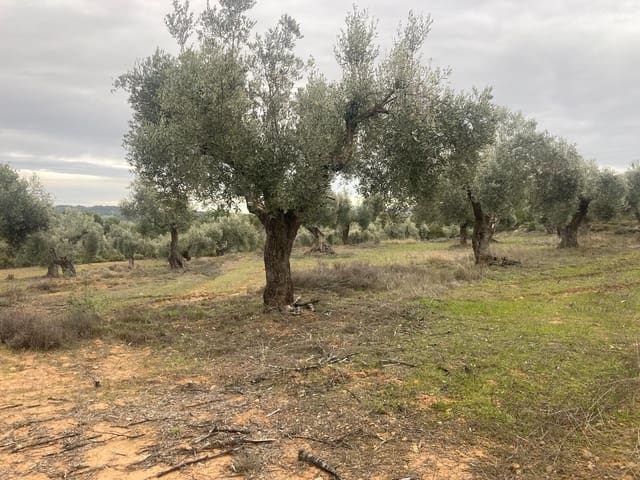 Finca/Landehus til salg i Valderrobres - € 15.000 (Ref: 9565409)