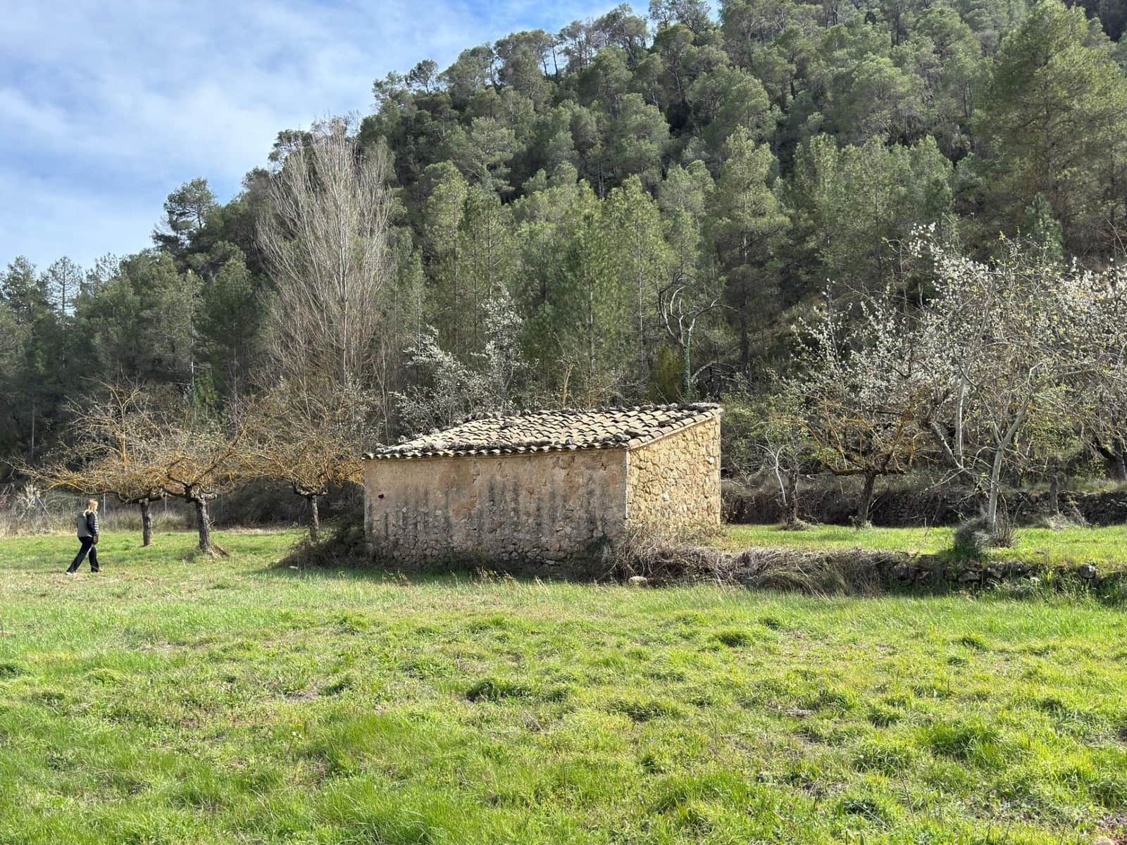 1 soveværelse Finca/Landehus til salg i Beceite - € 60.000 (Ref: 9611407)