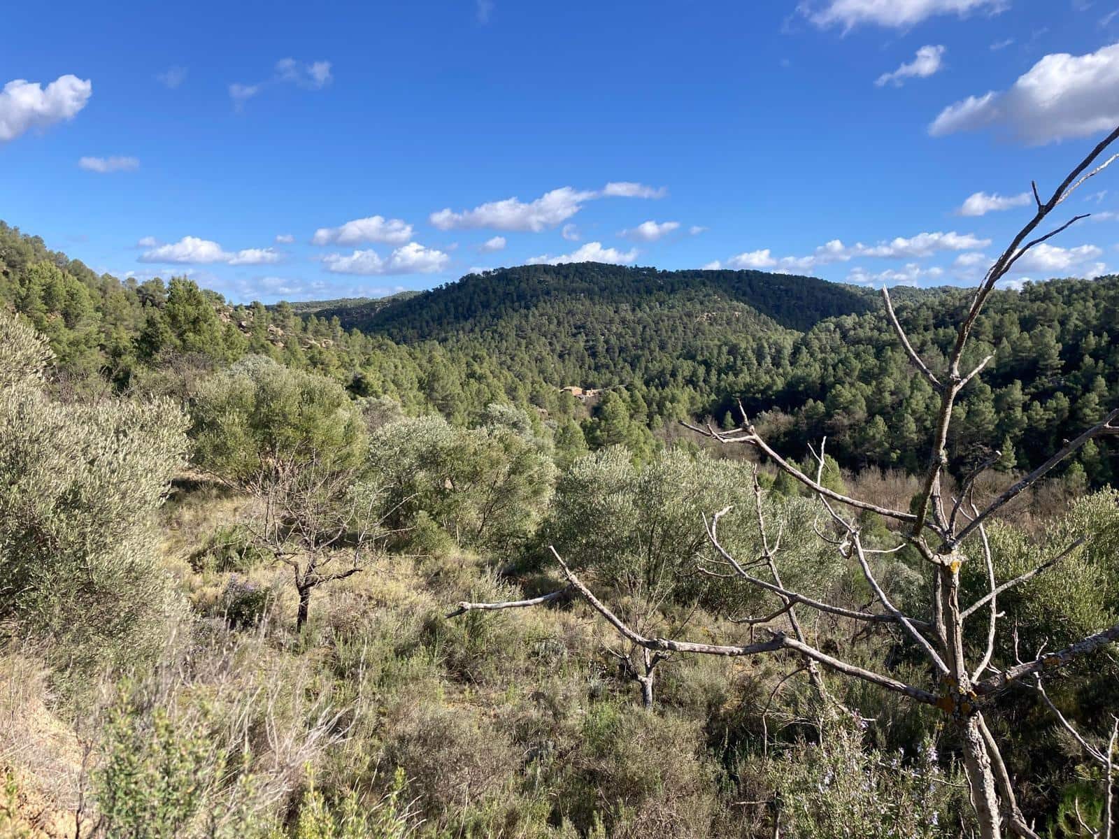 1 slaapkamer Finca/Landhuis te koop in Calaceite - € 35.000 (Ref: 9637774)