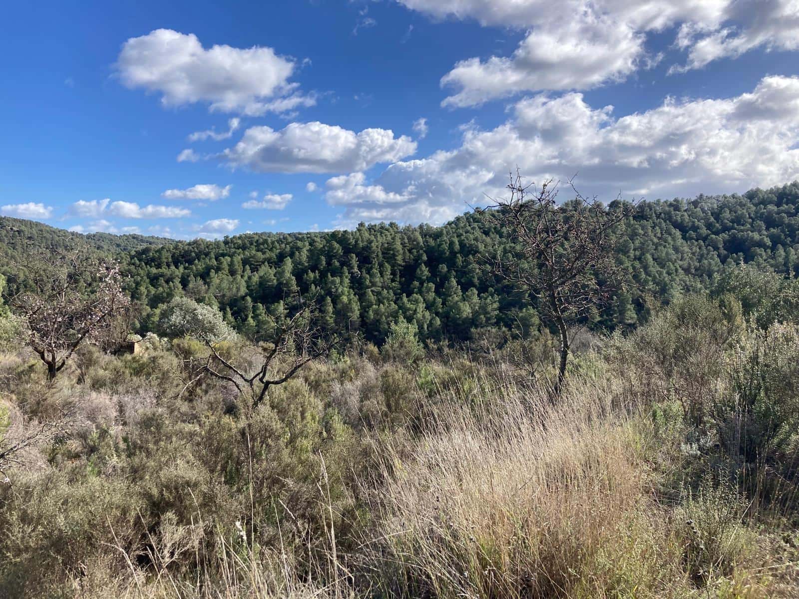 1 slaapkamer Finca/Landhuis te koop in Calaceite - € 35.000 (Ref: 9637774)