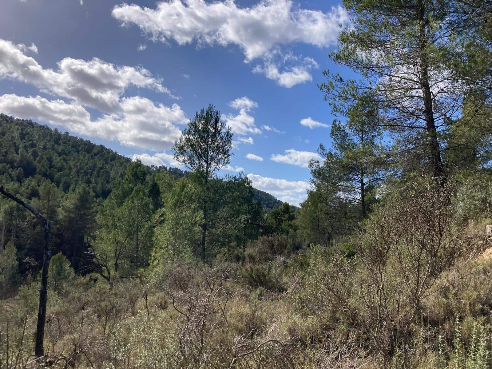 1 slaapkamer Finca/Landhuis te koop in Calaceite - € 35.000 (Ref: 9637774)