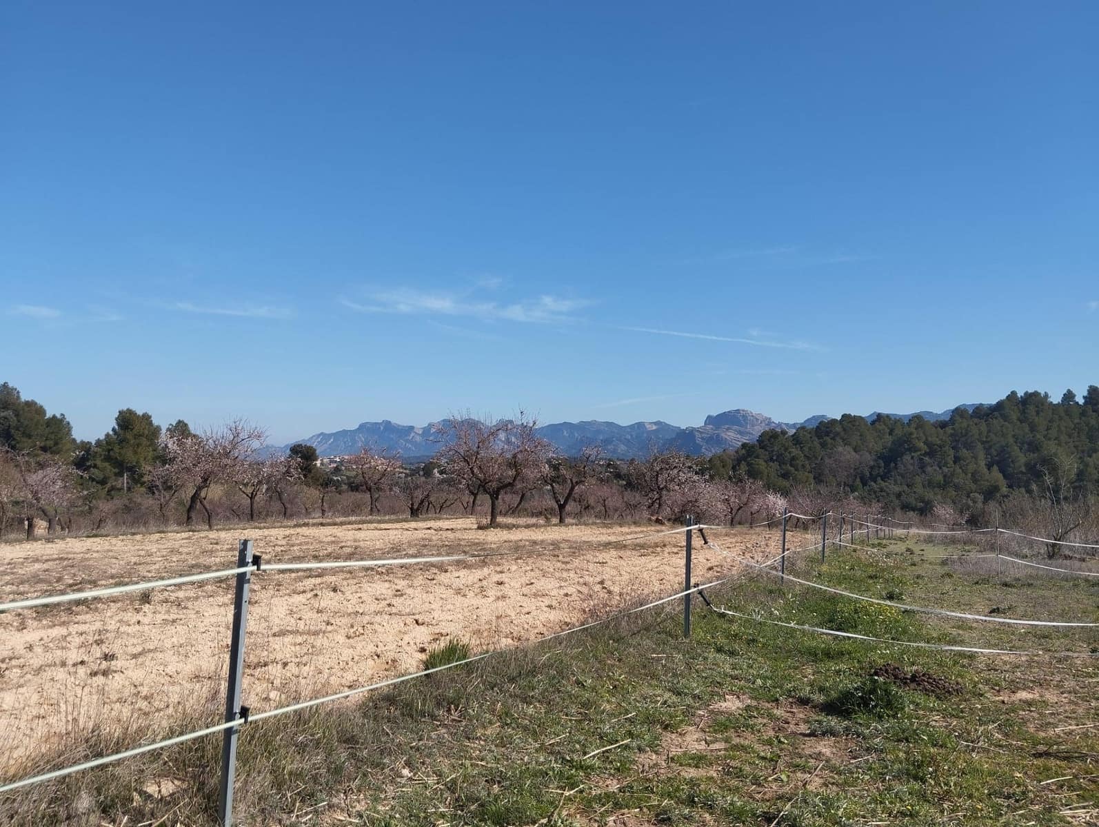 Finca/Casa Rural de 1 habitación en Cretas en venta - 130.000 € (Ref: 9645236)