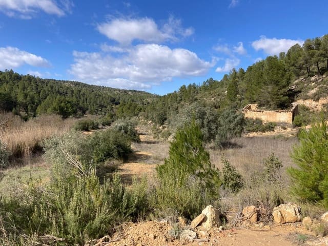 1 Zimmer Finca/Landgut zu verkaufen in Arens de Lledó - 48.000 € (Ref: 9652188)