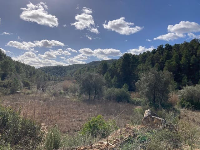 1 Zimmer Finca/Landgut zu verkaufen in Arens de Lledó - 48.000 € (Ref: 9652188)