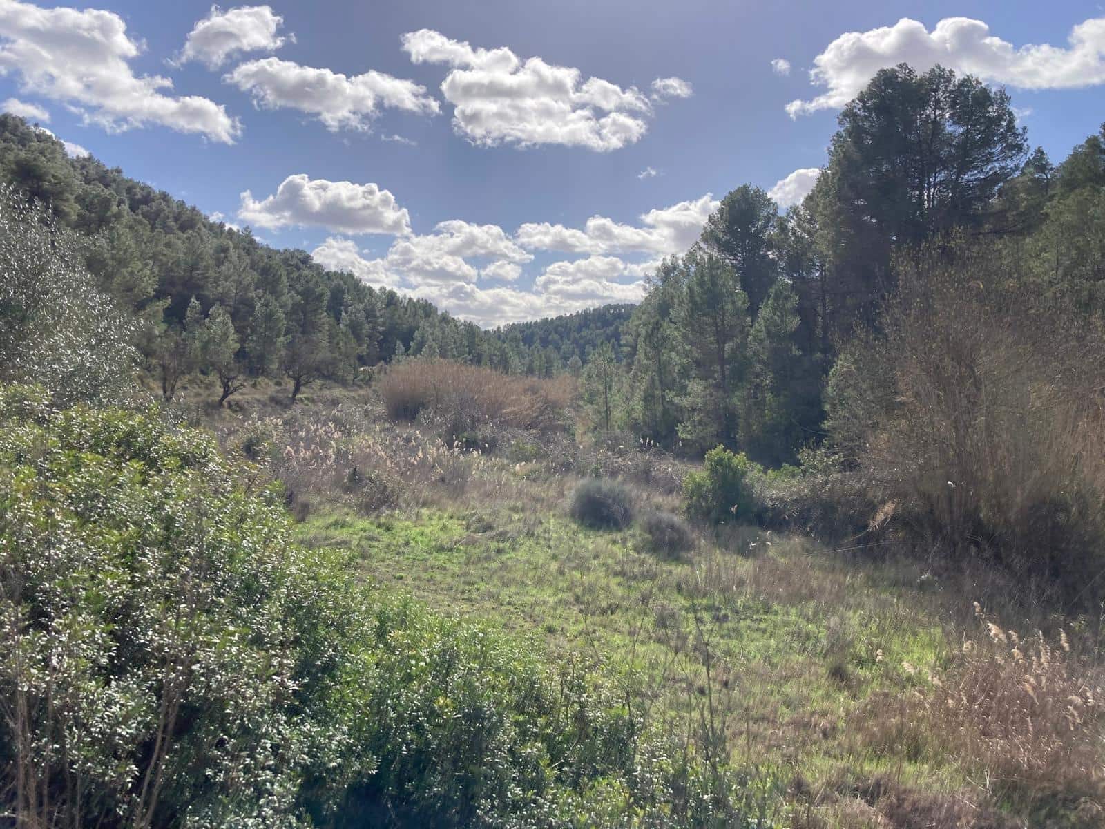 1 soveværelse Finca/Landehus til salg i Arens de Lledo - € 48.000 (Ref: 9652188)