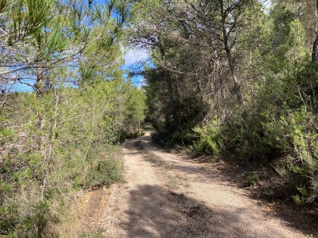 1 Zimmer Finca/Landgut zu verkaufen in Arens de Lledó - 48.000 € (Ref: 9652188)