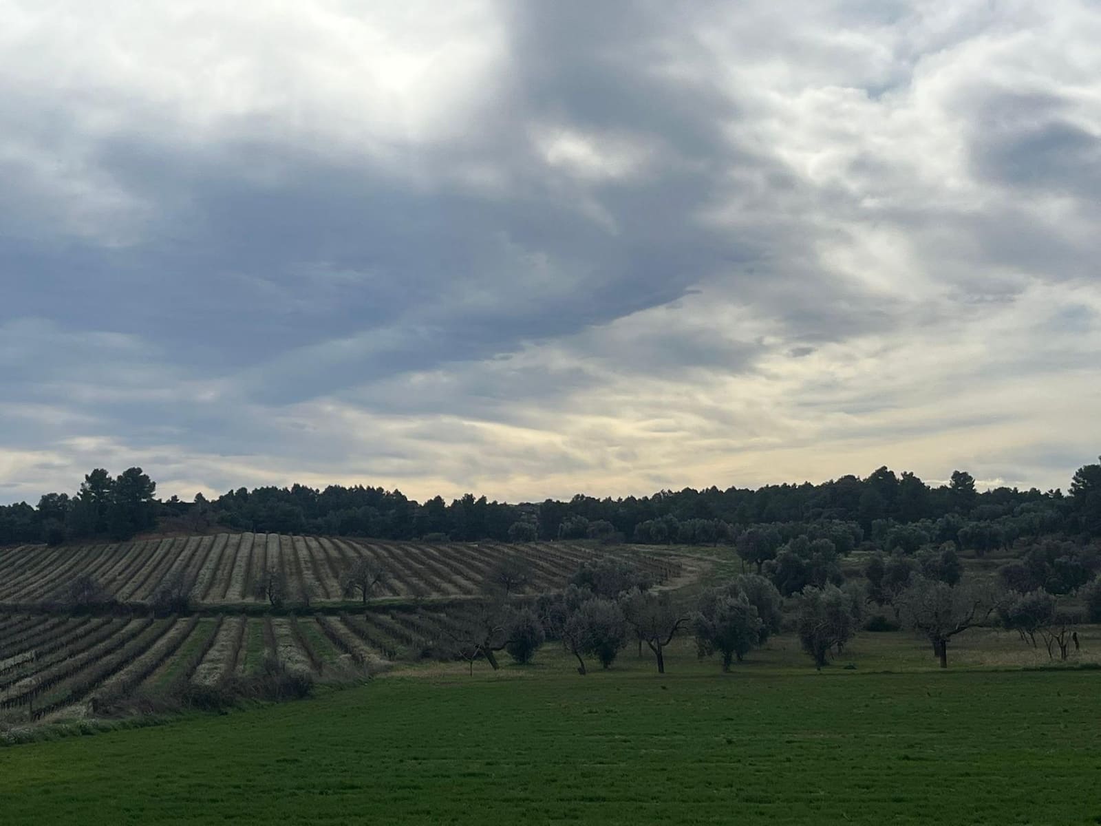 1 bedroom Finca/Country House for sale in Calaceite - € 26,500 (Ref: 9656266)