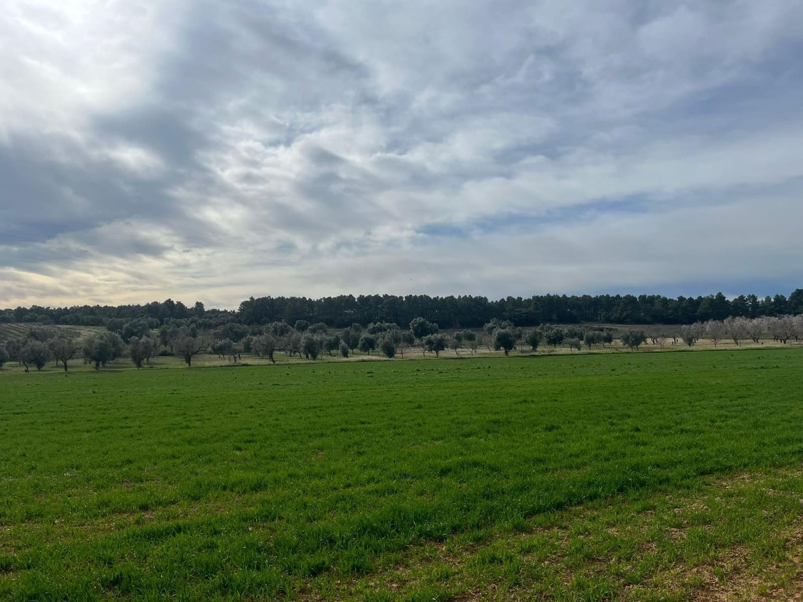 1 bedroom Finca/Country House for sale in Calaceite - € 26,500 (Ref: 9656266)