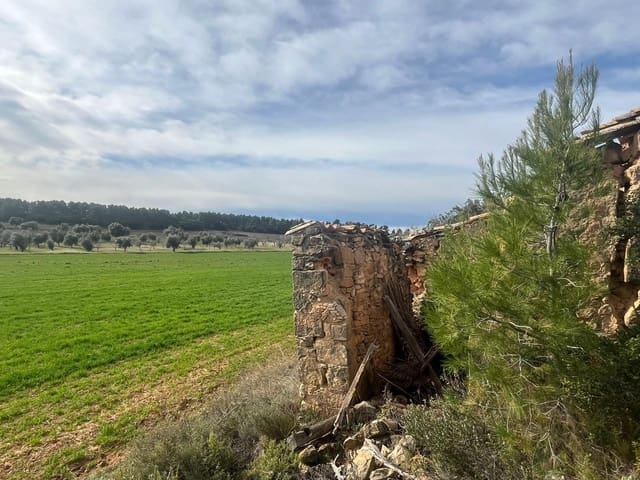 1 sypialnia Finka/Dom wiejski na sprzedaż w Calaceite - 26 500 € (Ref: 9656266)