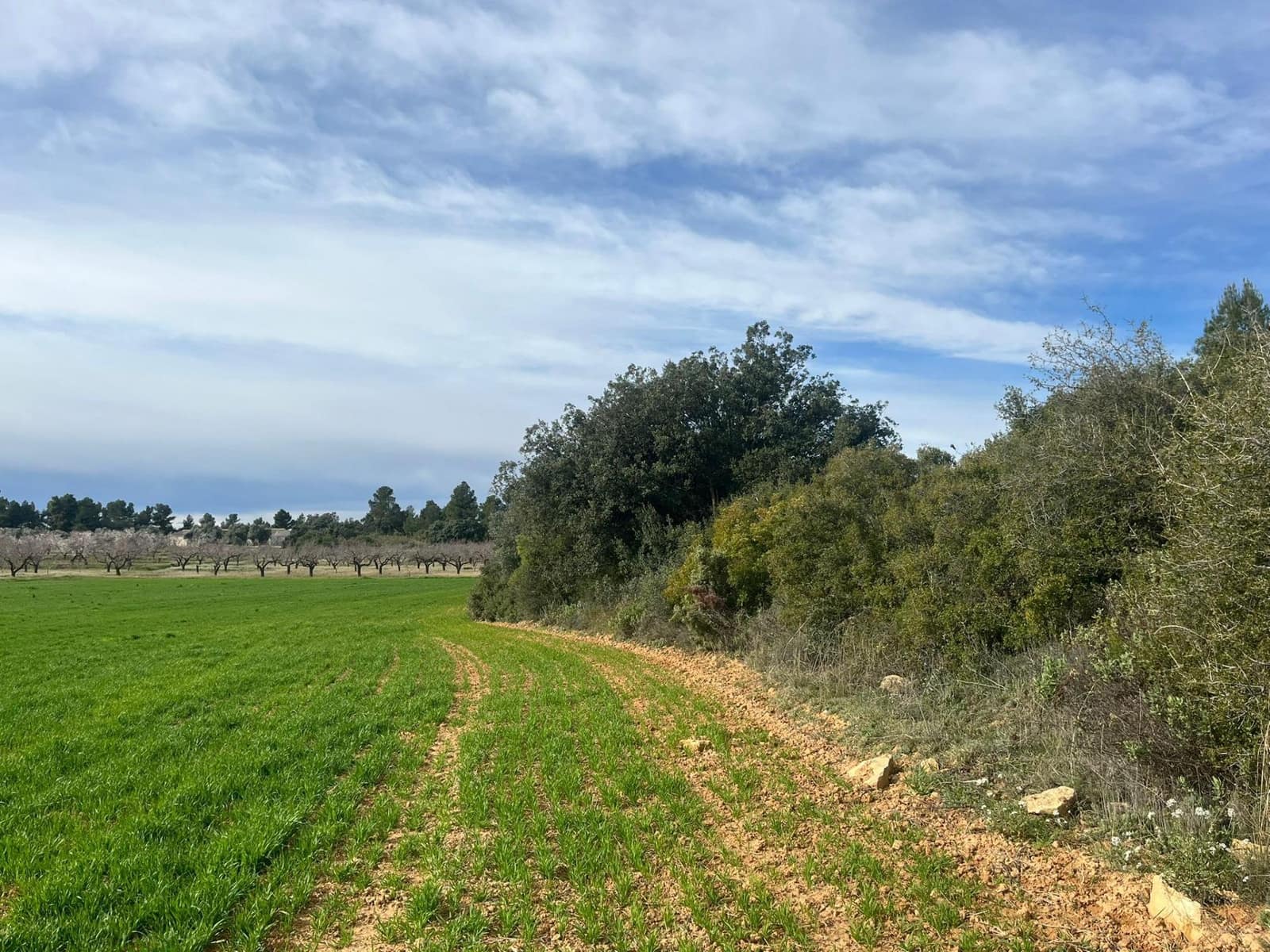 1 bedroom Finca/Country House for sale in Calaceite - € 26,500 (Ref: 9656266)