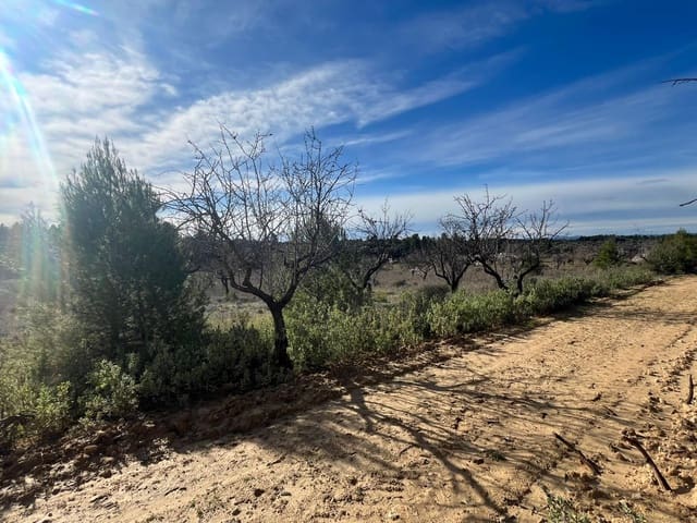 1 sypialnia Finka/Dom wiejski na sprzedaż w Calaceite - 25 500 € (Ref: 9656267)