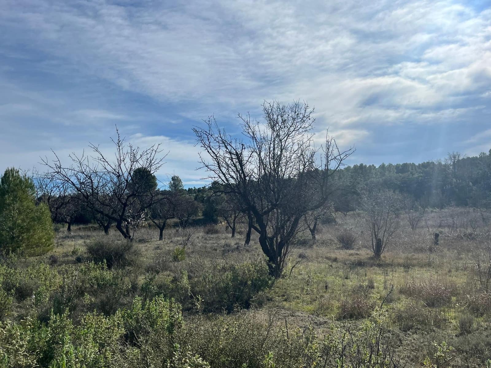 1 bedroom Finca/Country House for sale in Calaceite - € 25,500 (Ref: 9656267)