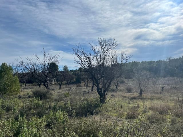 1 sypialnia Finka/Dom wiejski na sprzedaż w Calaceite - 25 500 € (Ref: 9656267)