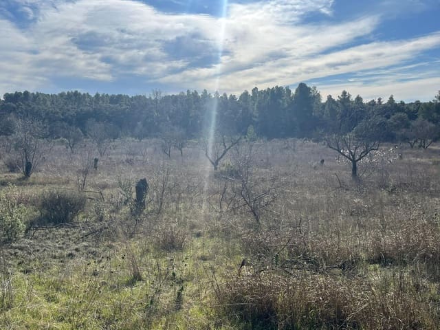 1 sypialnia Finka/Dom wiejski na sprzedaż w Calaceite - 25 500 € (Ref: 9656267)