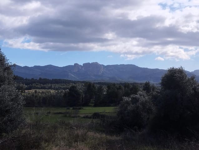 Quinta/Casa Rural para venda em Lledó - 38 000 € (Ref: 9679984)