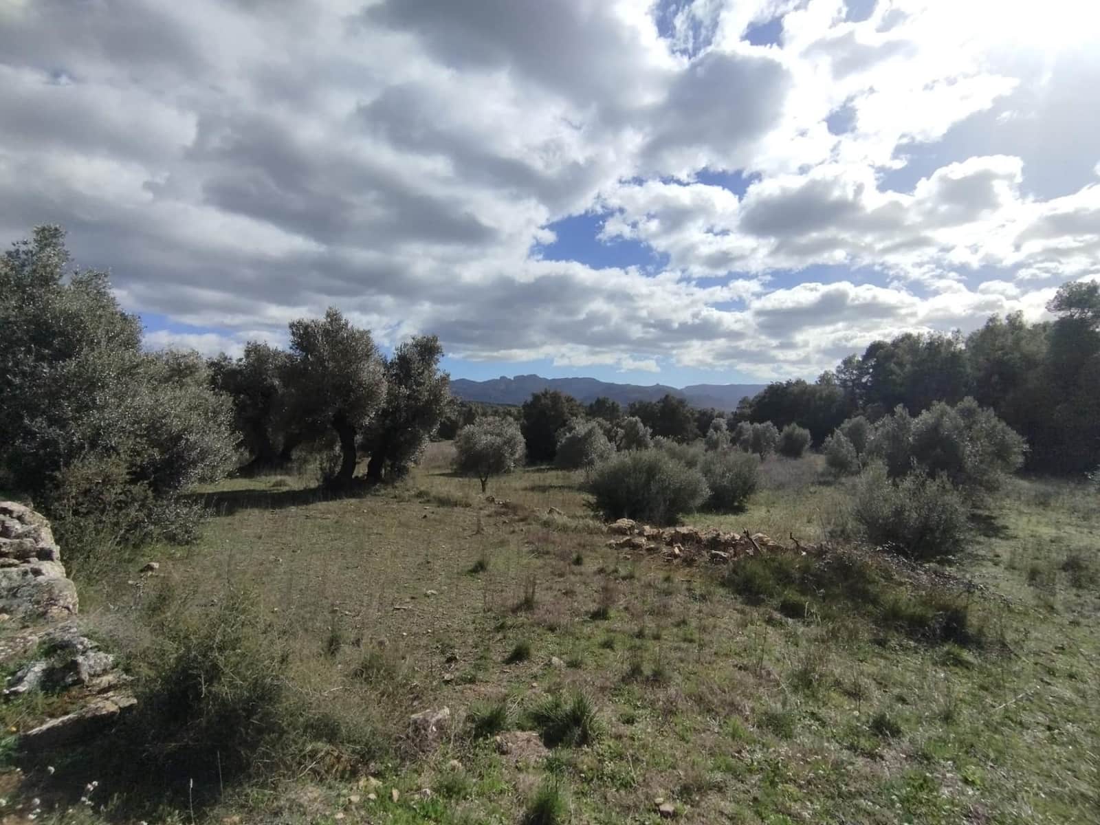 Finca/Casa di Campagna in vendita in Lledo - 38.000 € (Rif: 9679984)