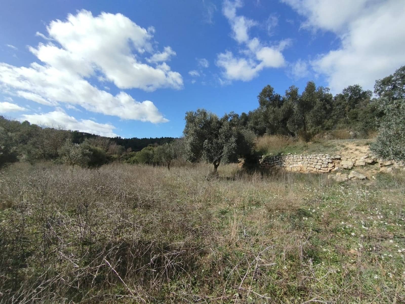 Finca/Casa di Campagna in vendita in Lledo - 38.000 € (Rif: 9679984)