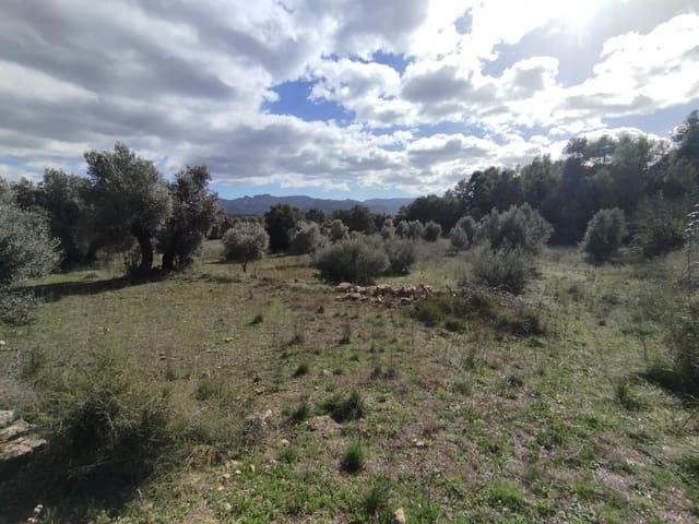 Quinta/Casa Rural para venda em Lledó - 38 000 € (Ref: 9679984)